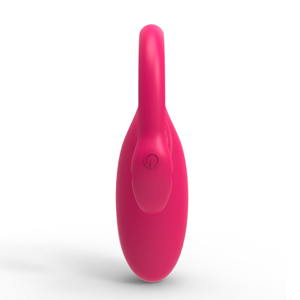 Flamingo Wireless Vibrator – Dashdiamondx